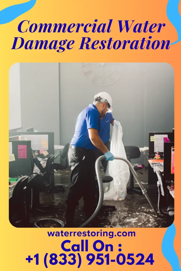 Commercial Water Damage Restoration in Calexico, CA