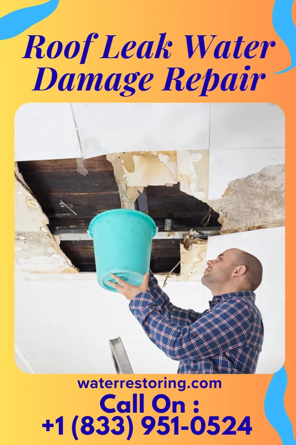 Roof Leak Water Damage Repair in Calexico, CA